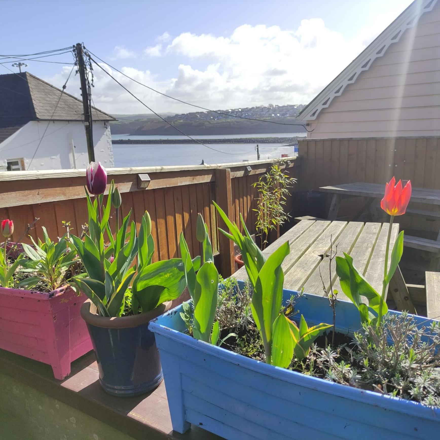 Goodwick Rose And Crown Hotel & Hope And Anchor Bar מראה חיצוני תמונה