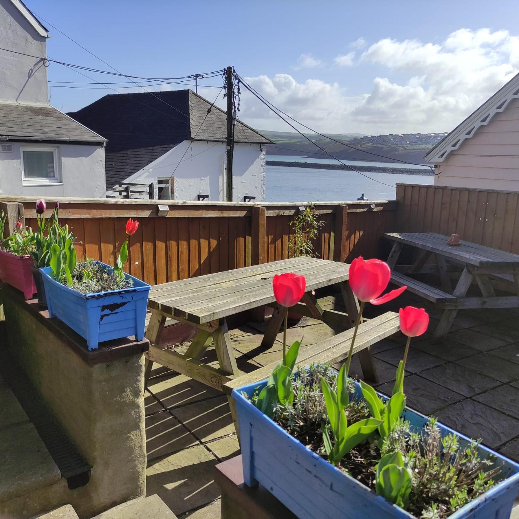 Goodwick Rose And Crown Hotel & Hope And Anchor Bar מראה חיצוני תמונה